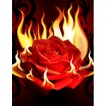 Алмазная вышивка 3D "Роза в огне" 25/30