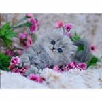 Алмазная вышивка 3D "Котенок с цветами" 40/30 см.