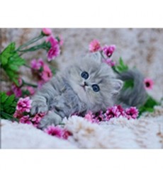 Алмазная вышивка 3D "Котенок с цветами" 40/30 см.
