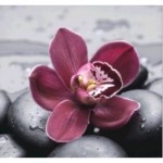 Алмазная вышивка 3D "Орхидея на камнях" 30/30