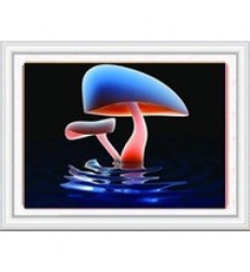 Алмазная вышивка 3D "Люминисцентные грибы" 71/51
